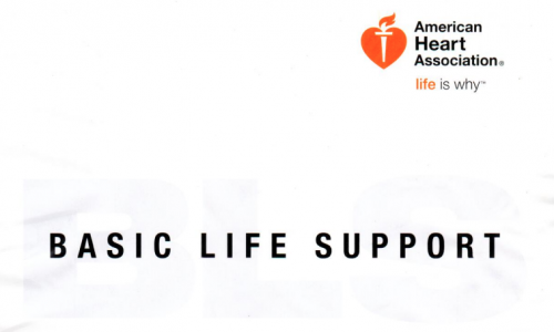 Basic Life Support (CPR)